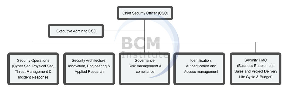 CIR PM Cyber Security Team Structure